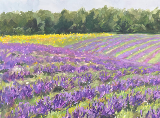 Lavender Dream