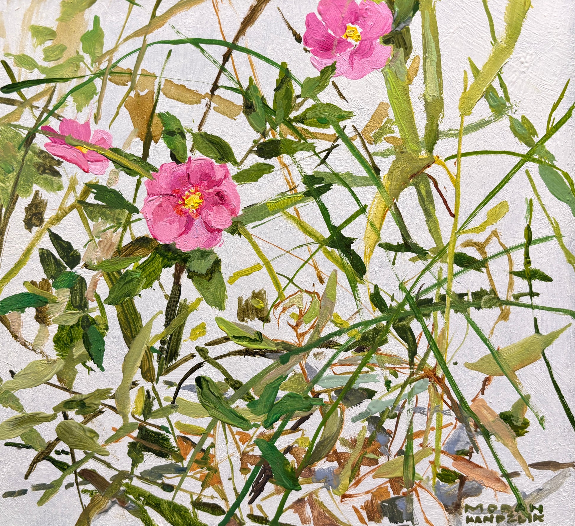 Wild Roses at the Ridges Just Before the Rain , en plein air