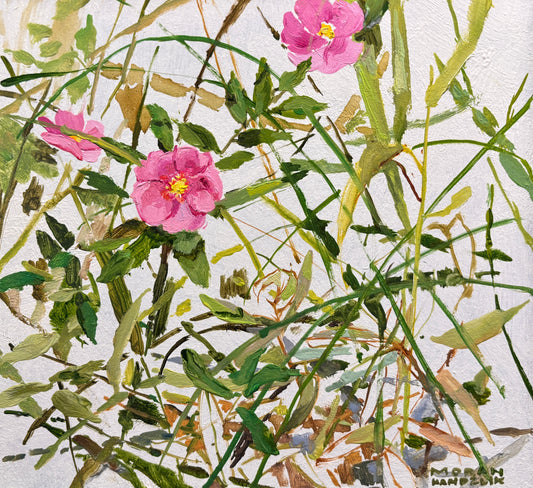 Wild Roses at the Ridges Just Before the Rain , en plein air