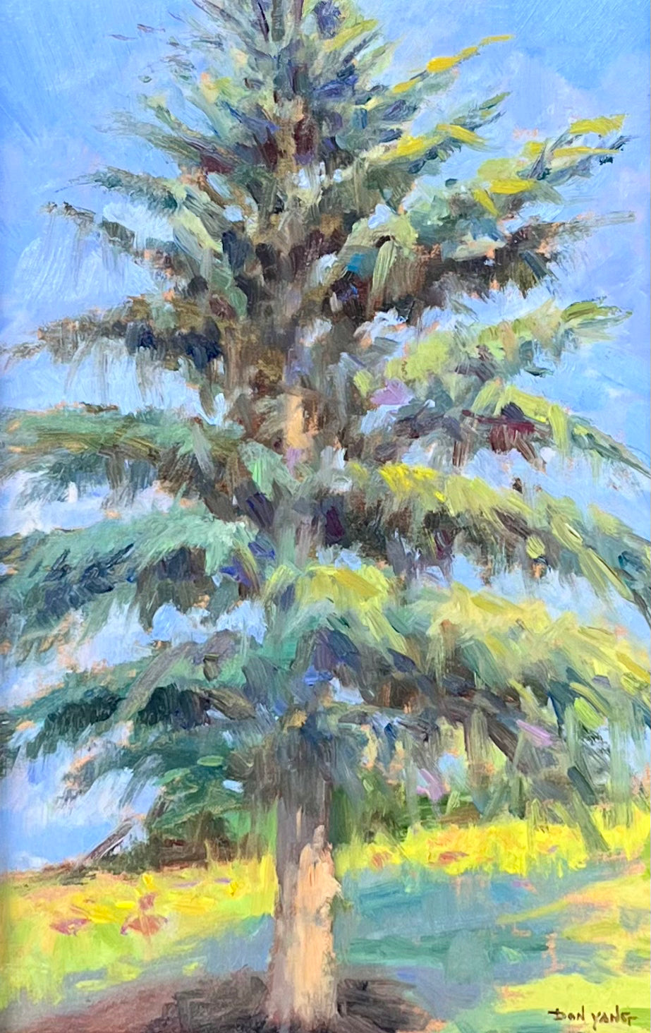 Meadow Bluff Tree