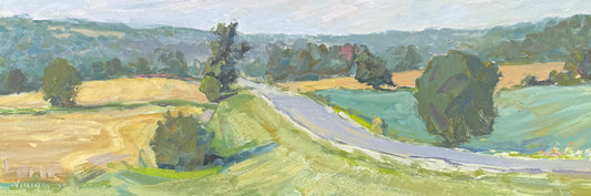 Fields near Baileys Harbor 