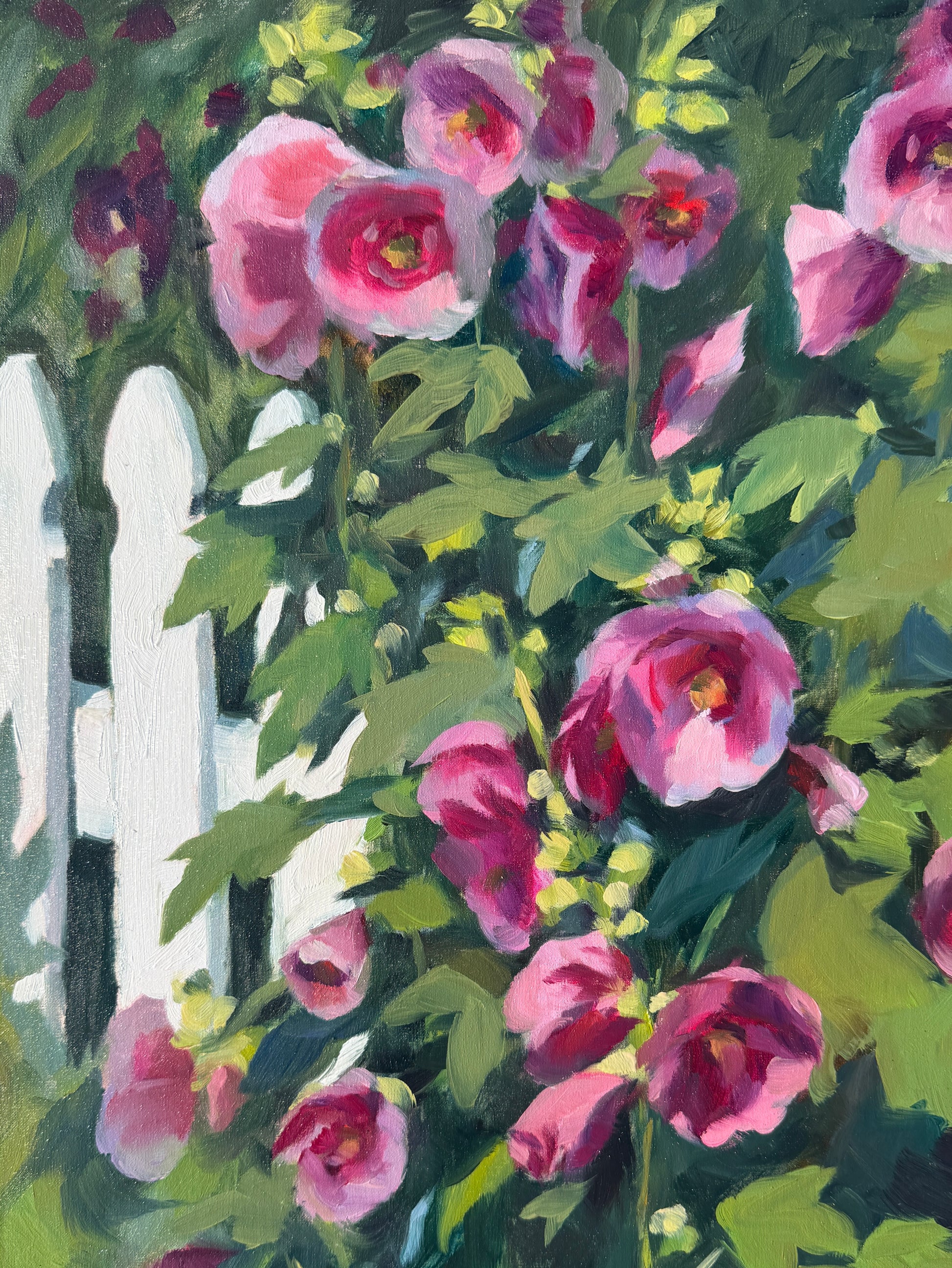 Fenceline Hollyhocks