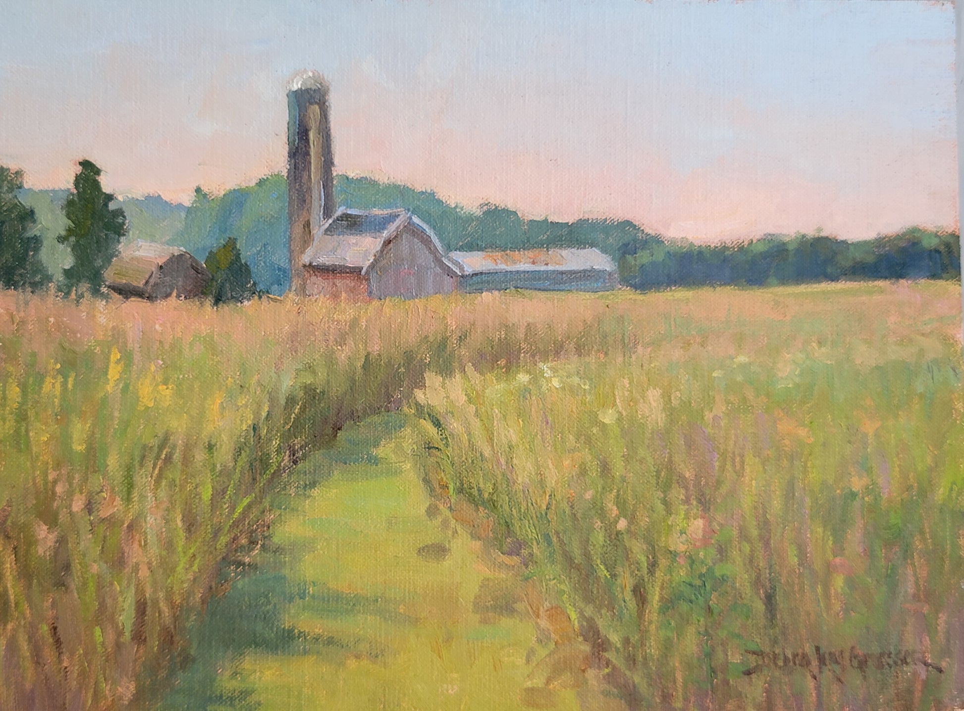 Path through the Prairie