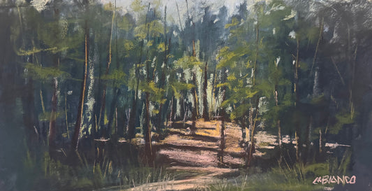 Woodland Lights