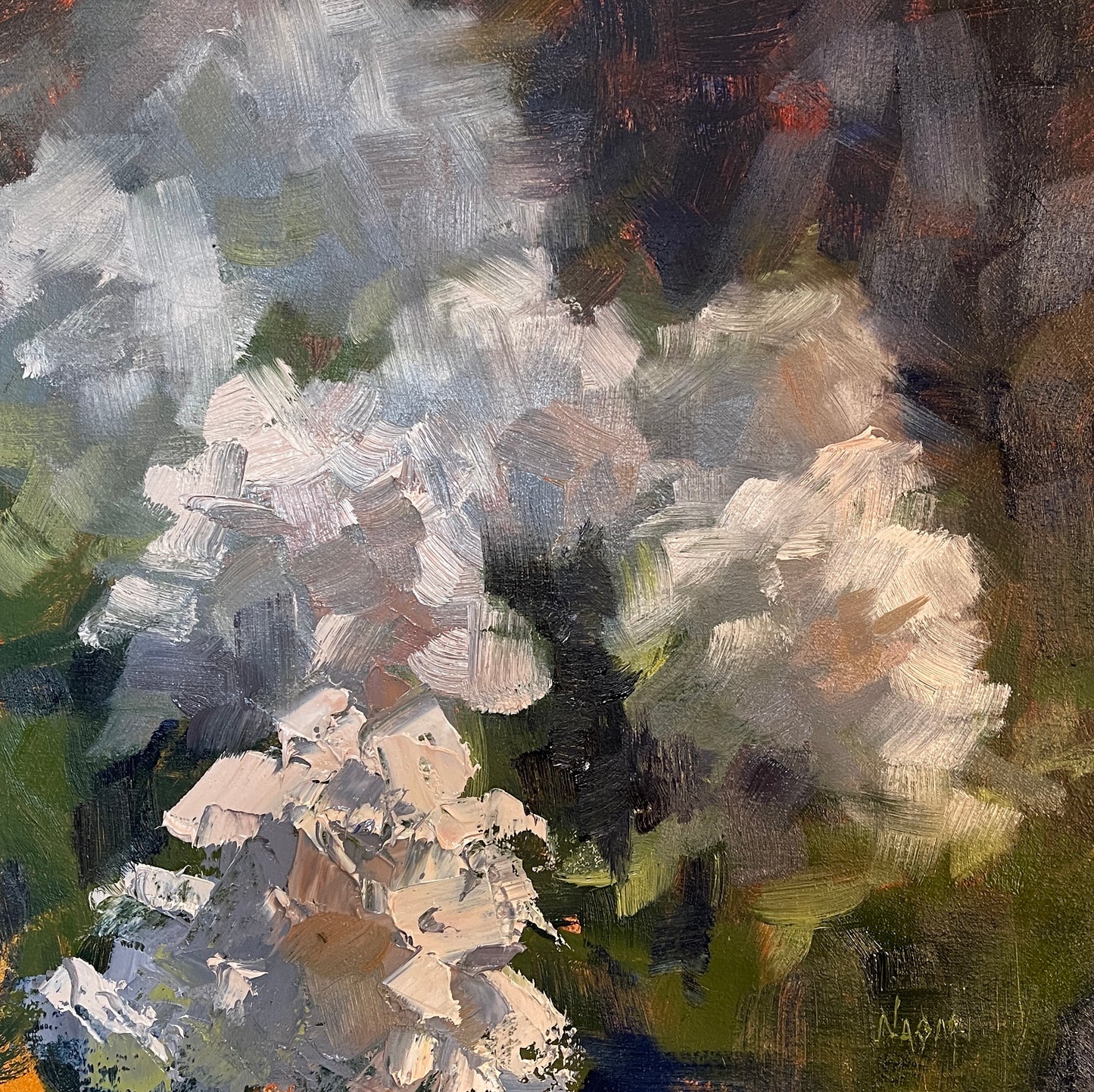 Flocks of Phlox