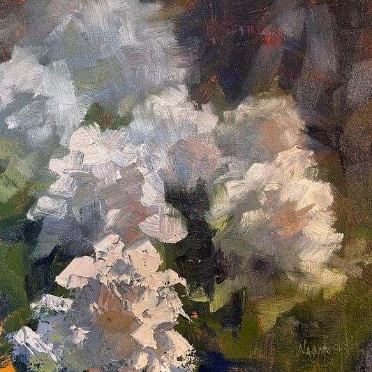 Flocks of Phlox