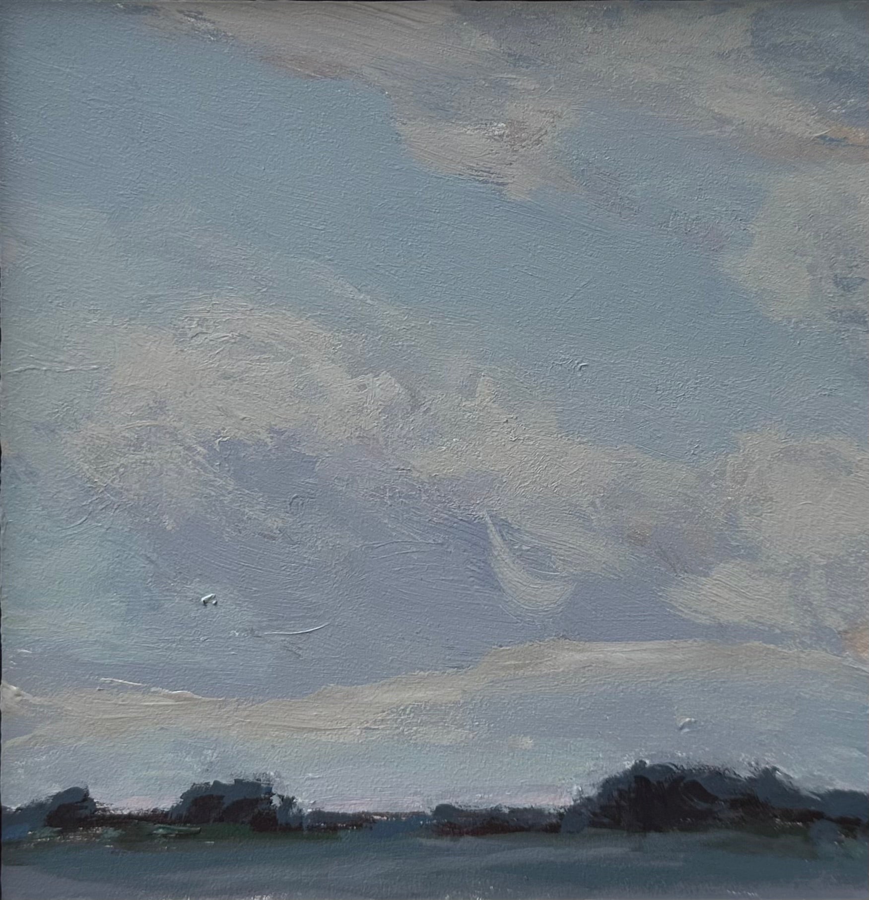 Cloudy Study #2
