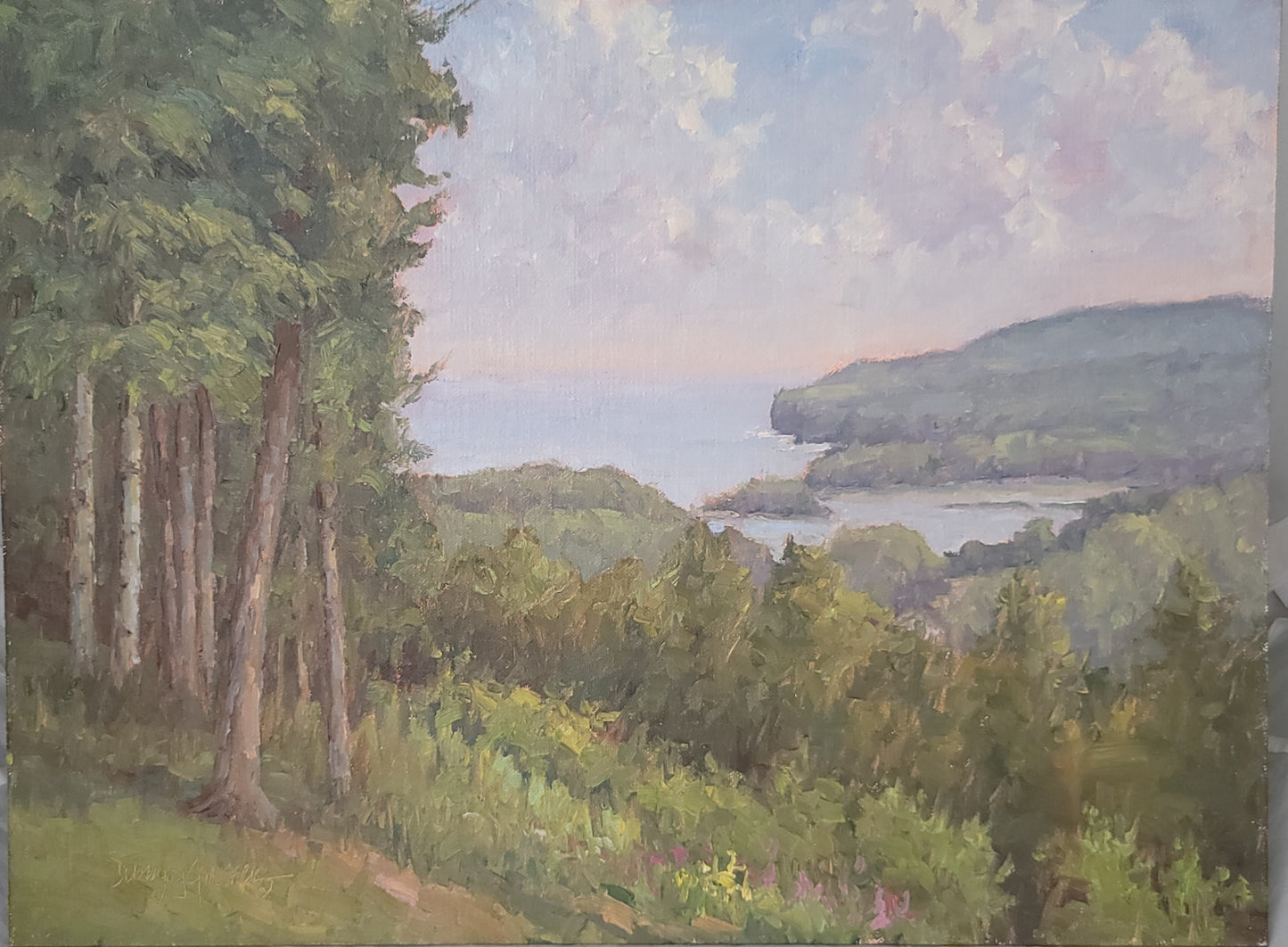 View from the Bluff