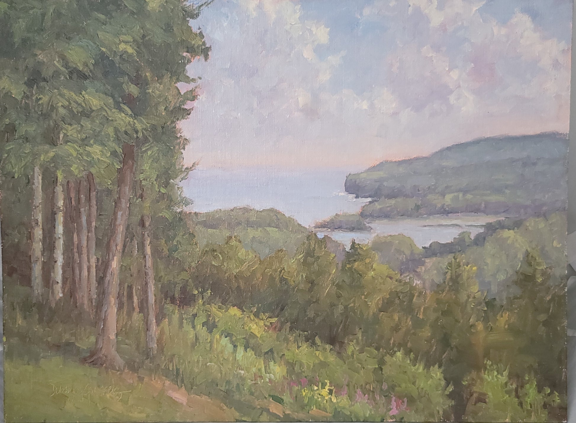View from the Bluff