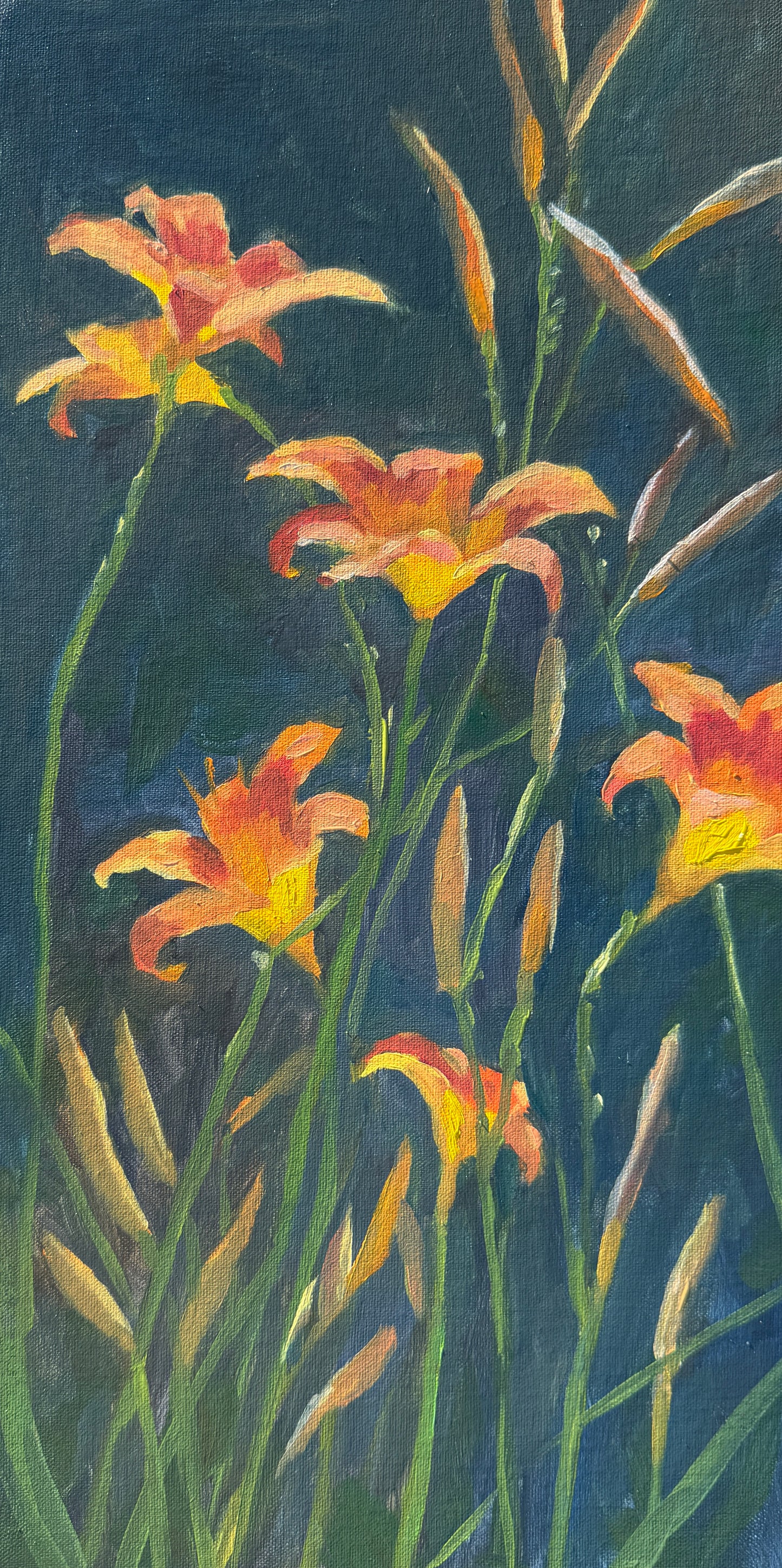 Daylily Dance