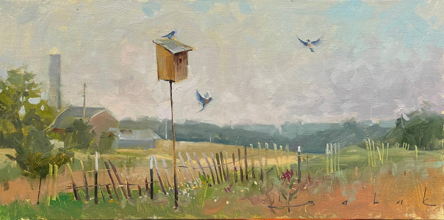 Home on the Meadow