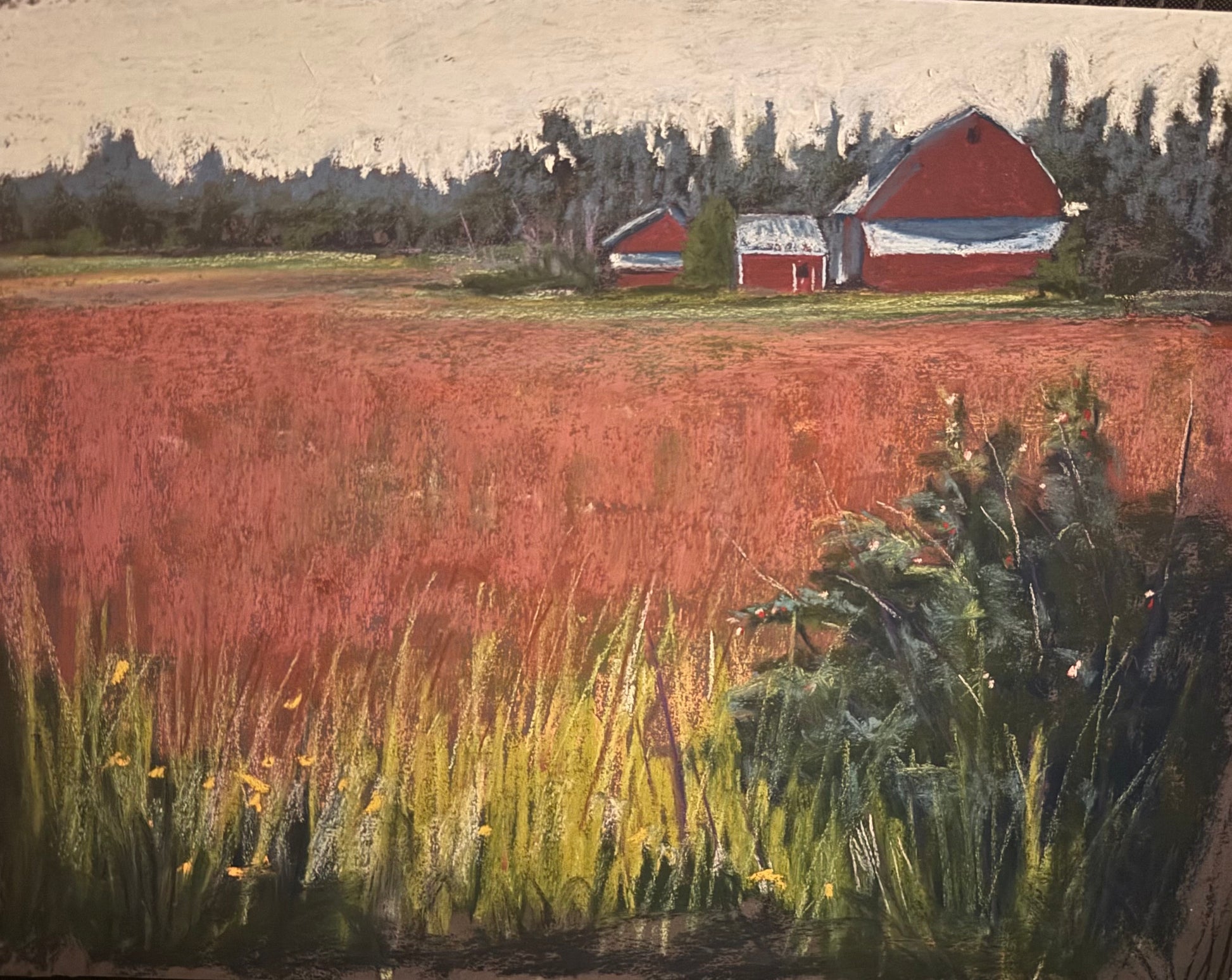 Red Pasture 