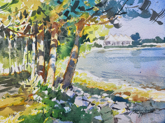 Morning Light 