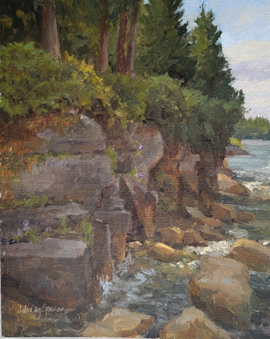 On the Rocks with a Splash