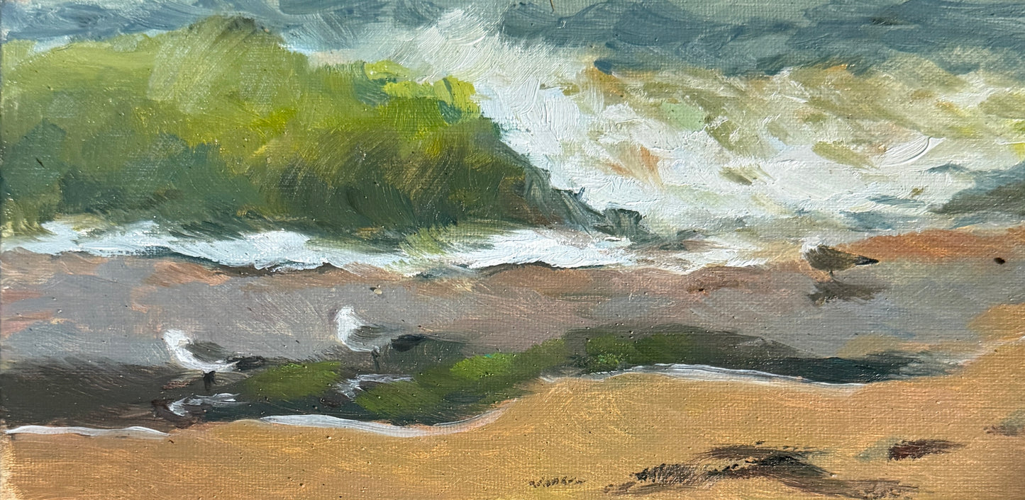 Seagulls at Tide