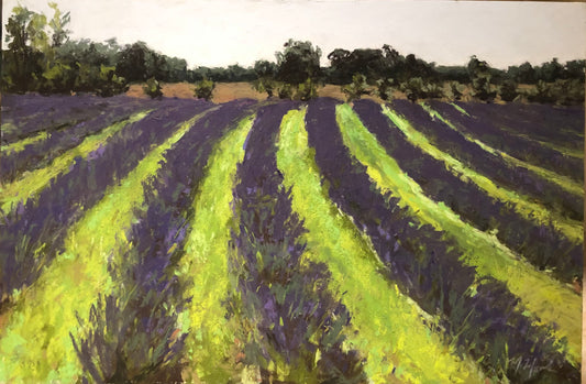 Wilder Lavenders Farm