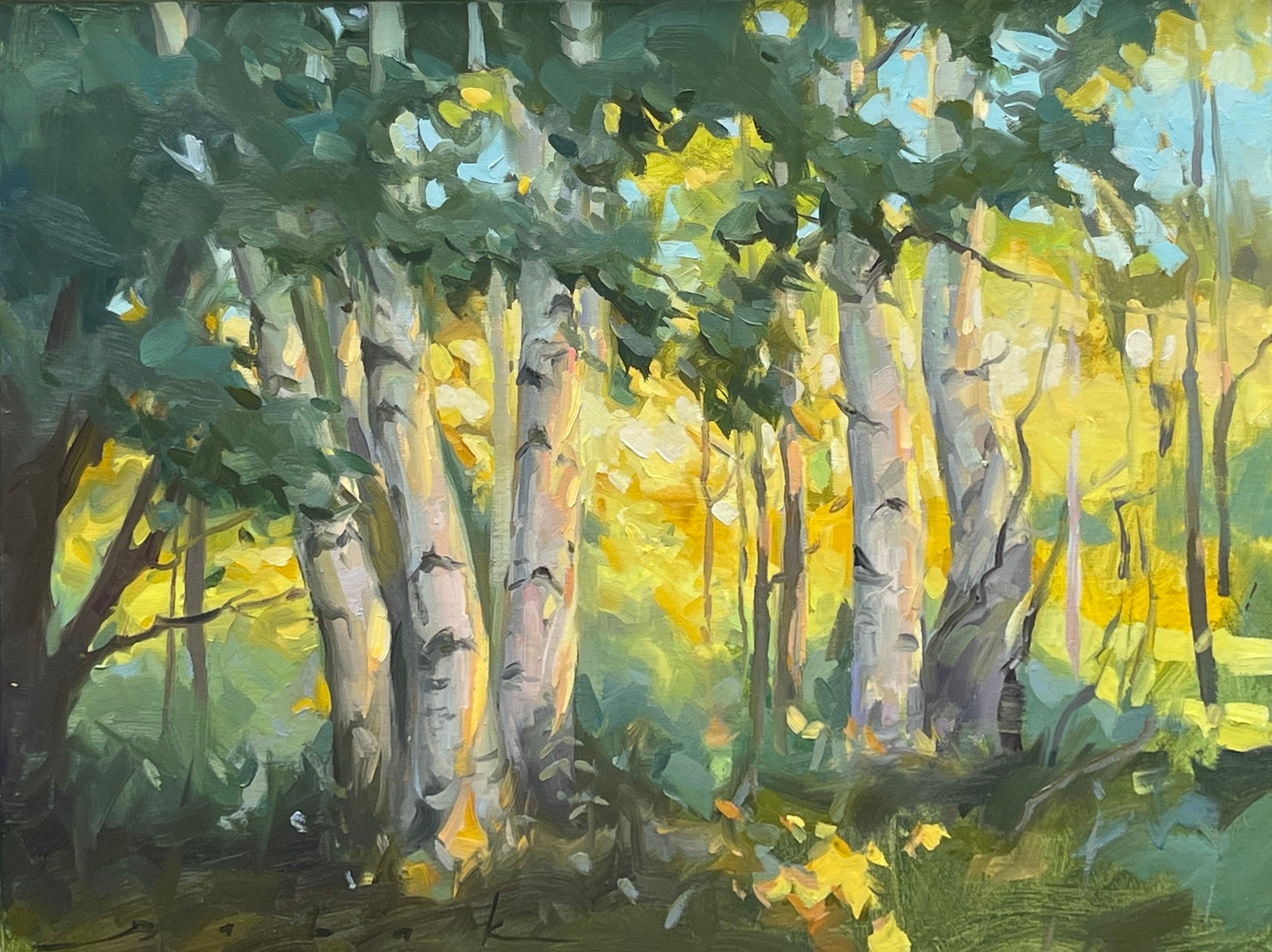 Tapestry of Light