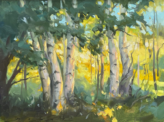 Tapestry of Light
