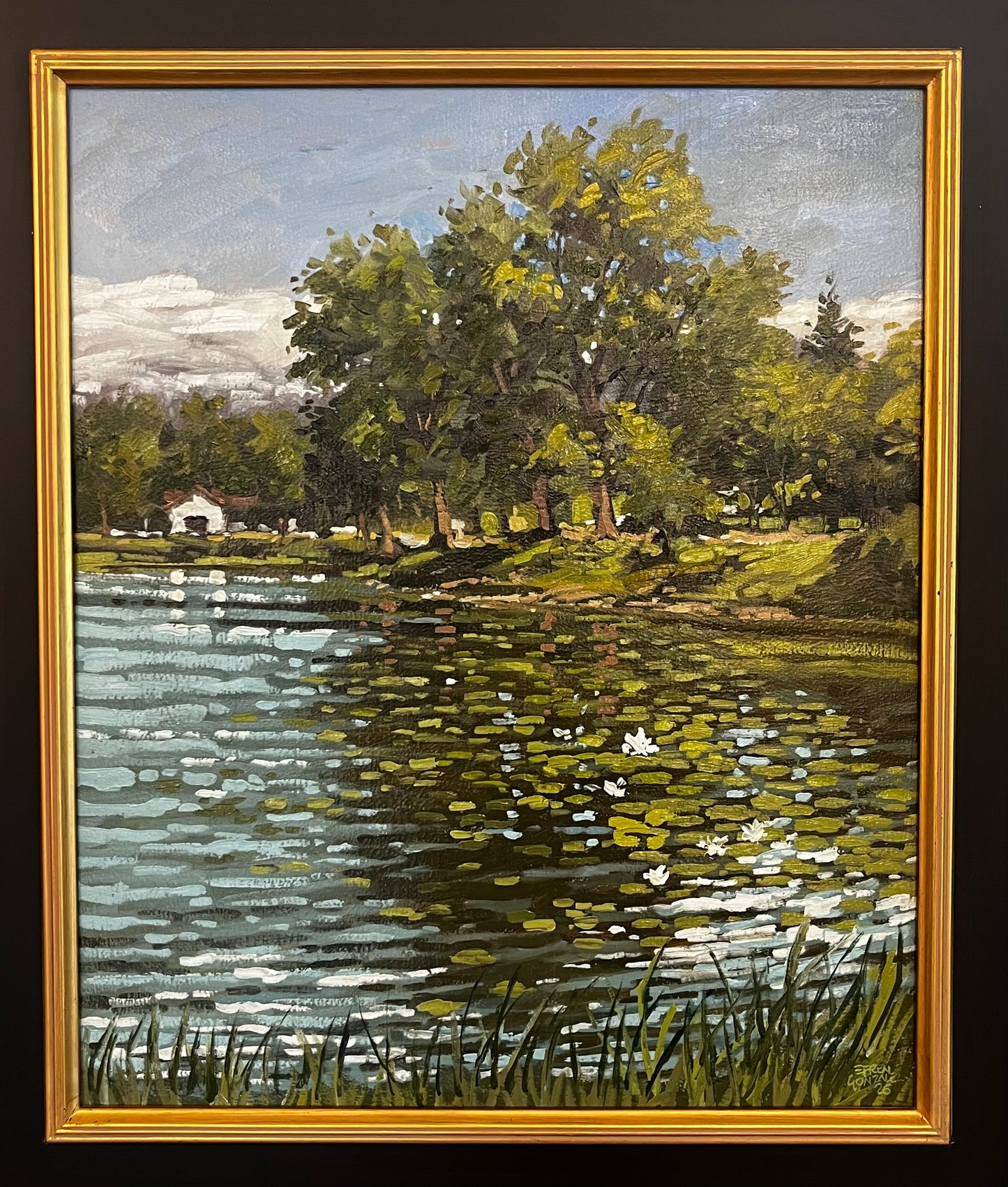 Reflejos