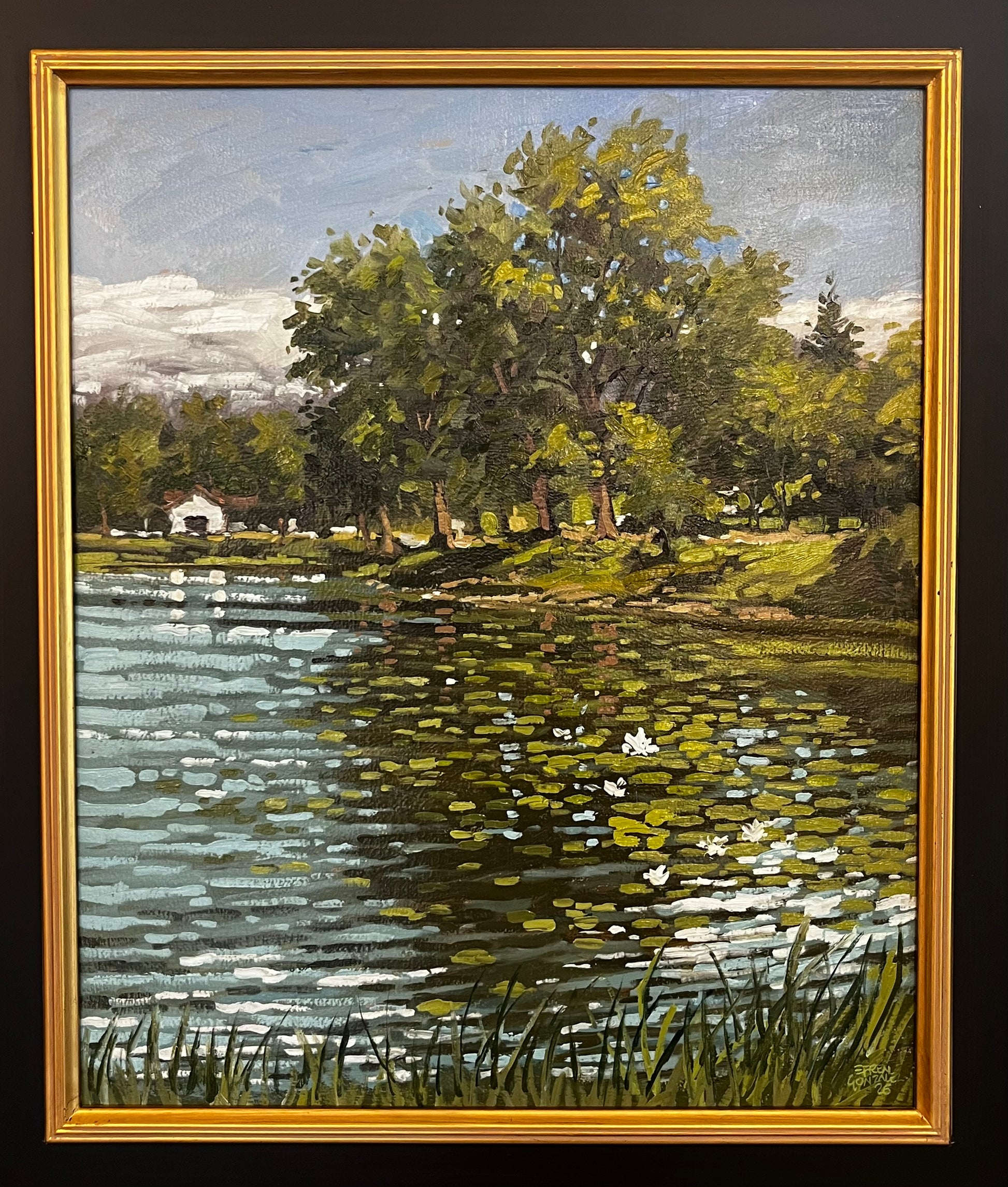 Reflejos