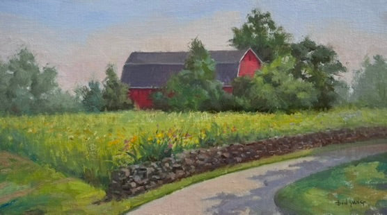 Morning Light on Meadow