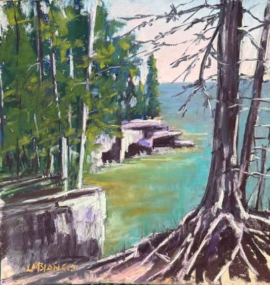 Shoreline Guardians