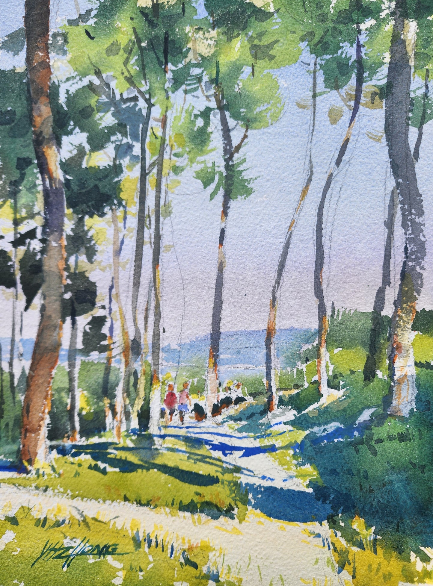 Afternoon Shadows 