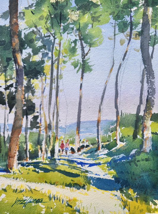 Afternoon Shadows 