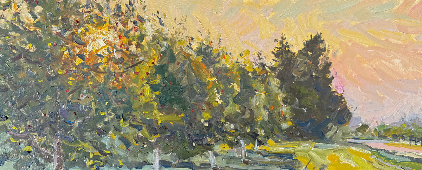 Sunrise on the Cherry Farm