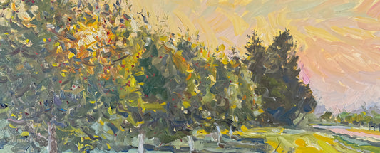 Sunrise on the Cherry Farm