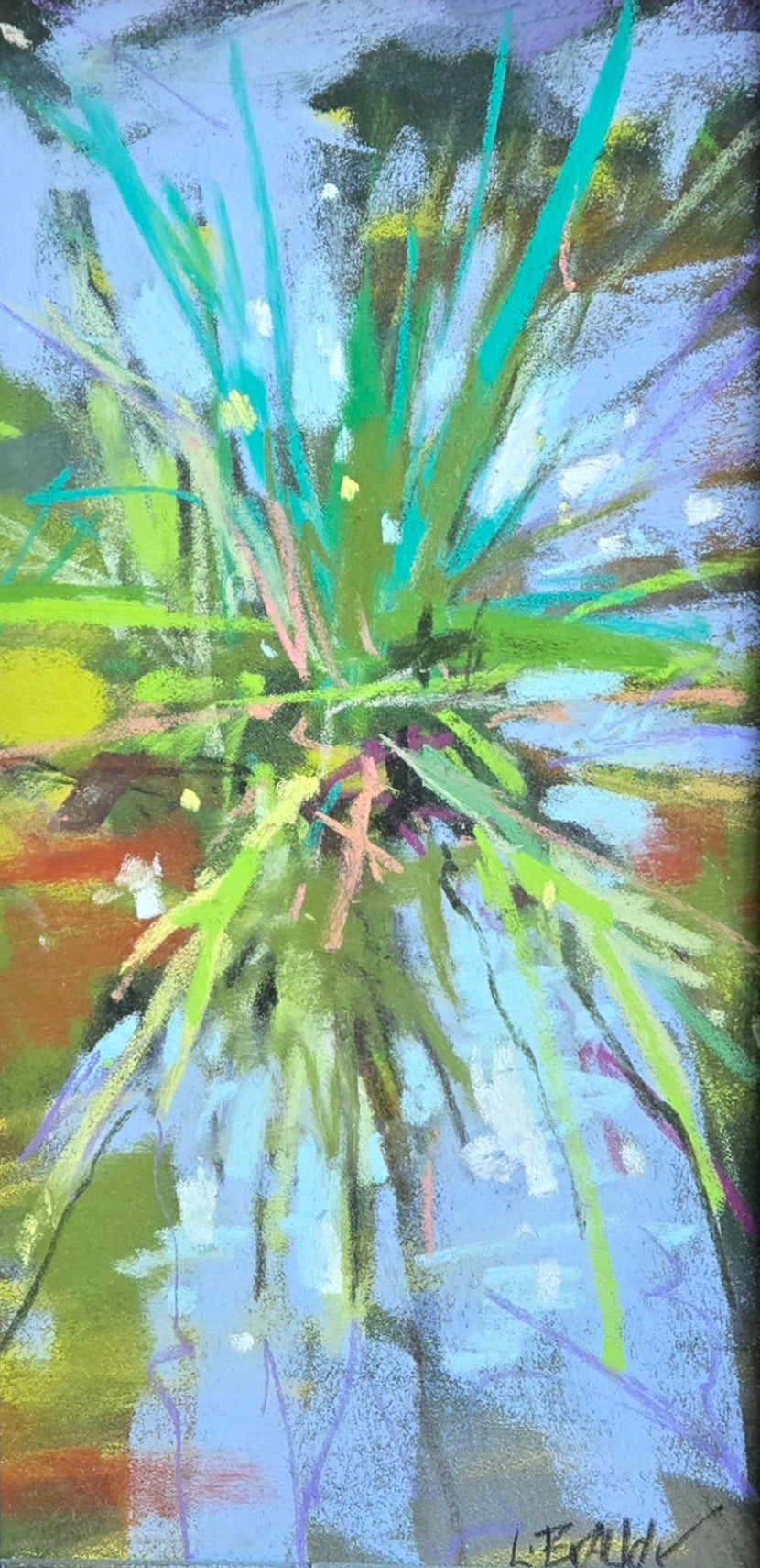 Where the Frogs Live