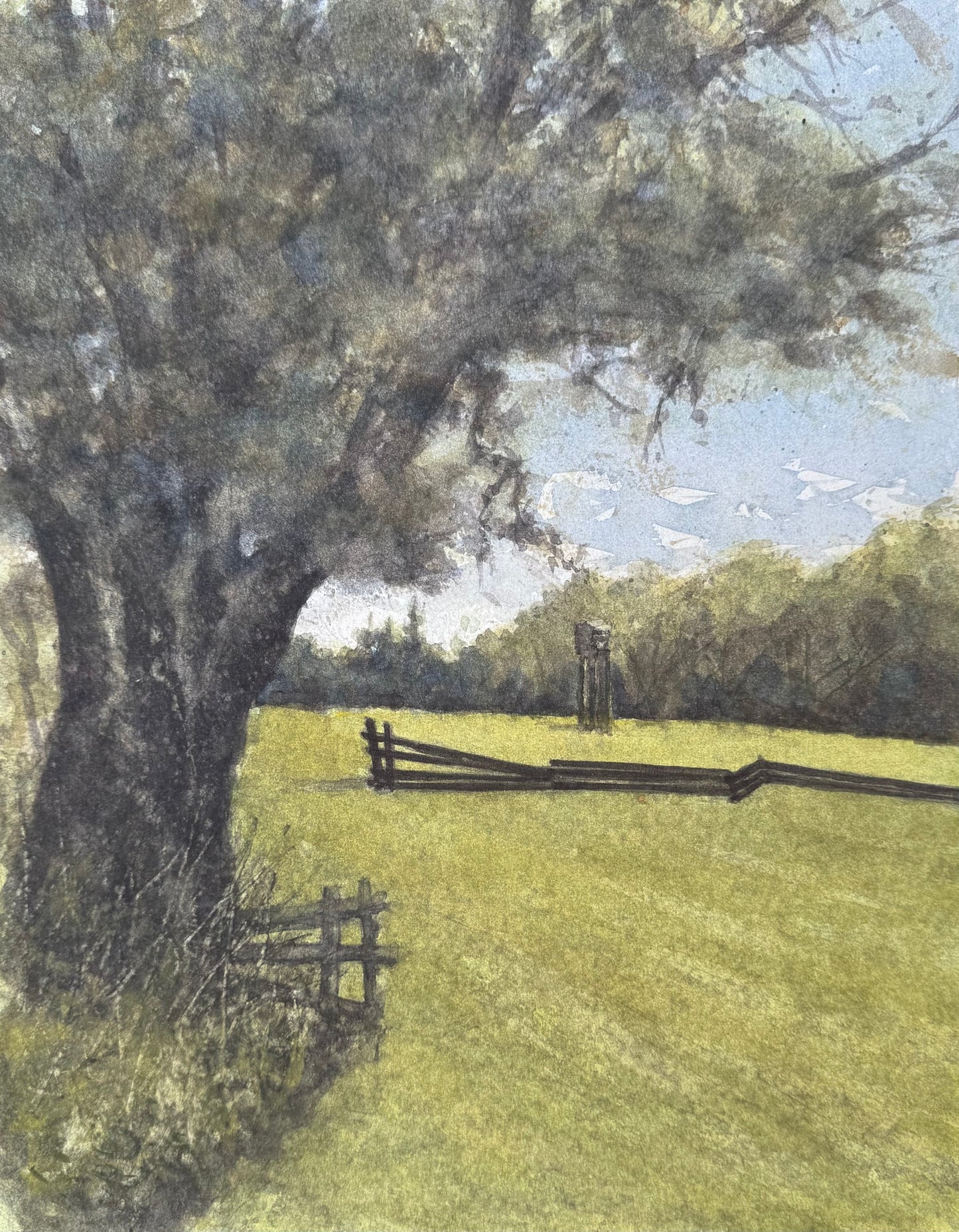 Meadow’s Edge
