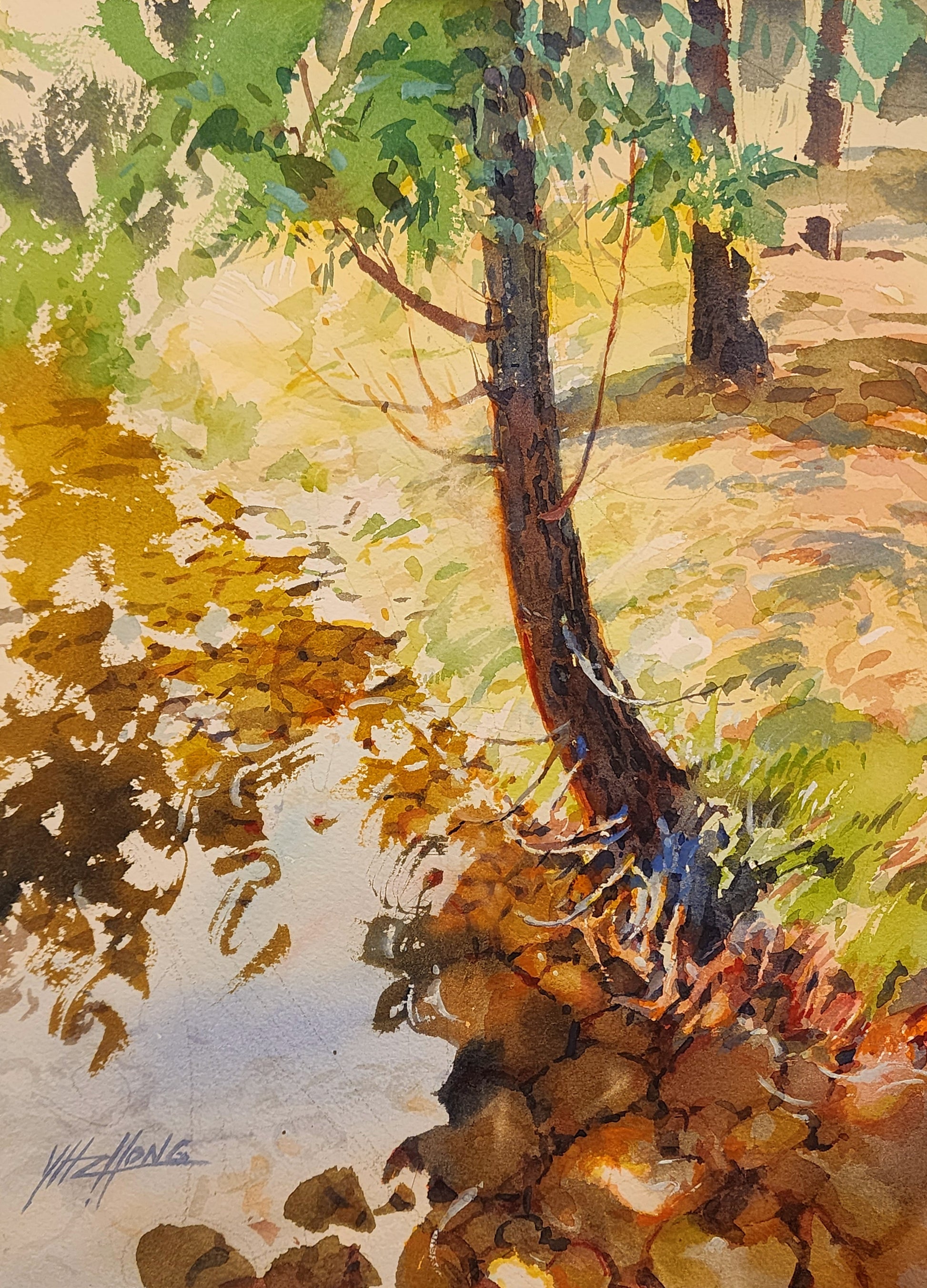 Roots and Reflections