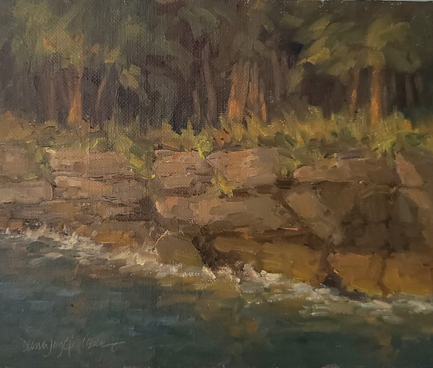 Sunset on the Shore