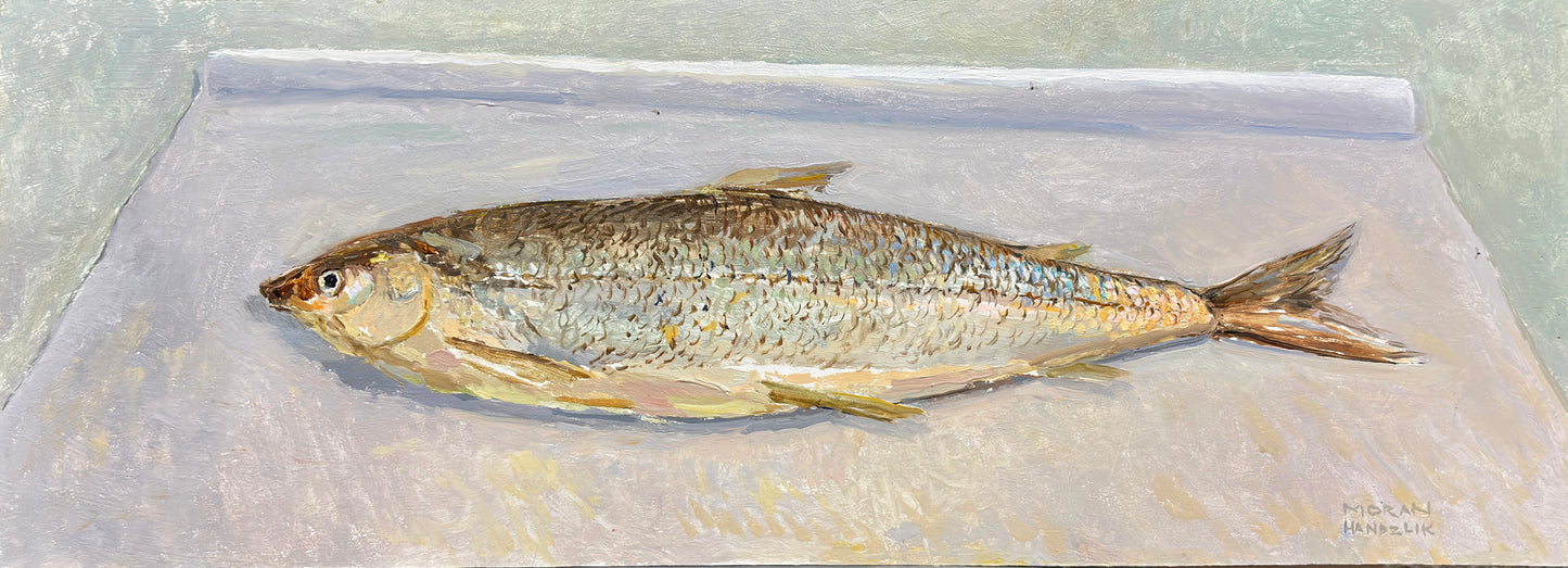 Rain and White Fish at Henriksens