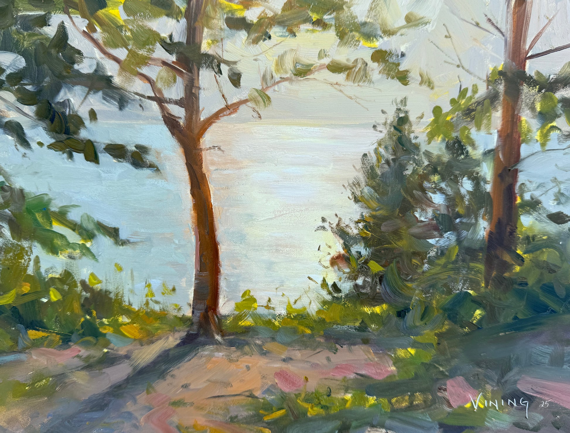 Sunset at Ellison Bluff