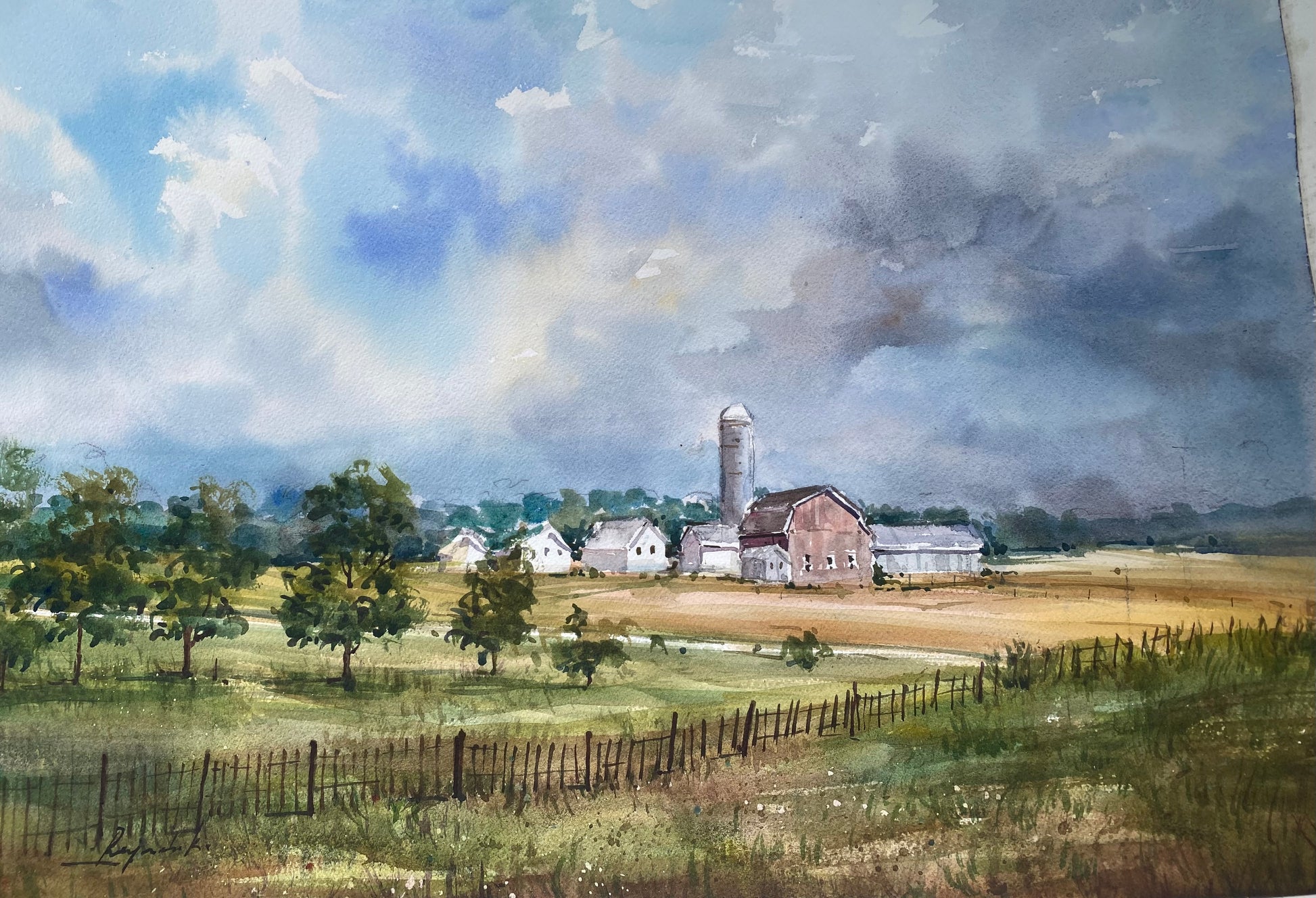     Fields of Peace