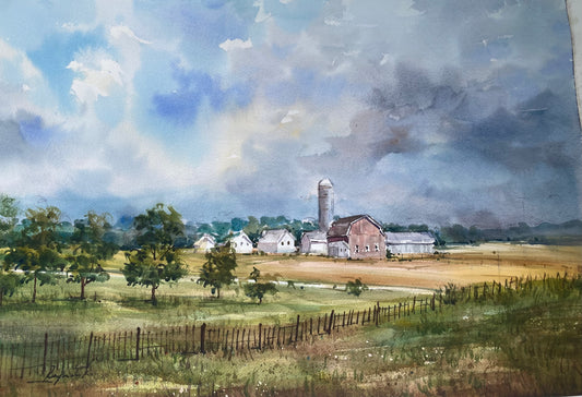     Fields of Peace