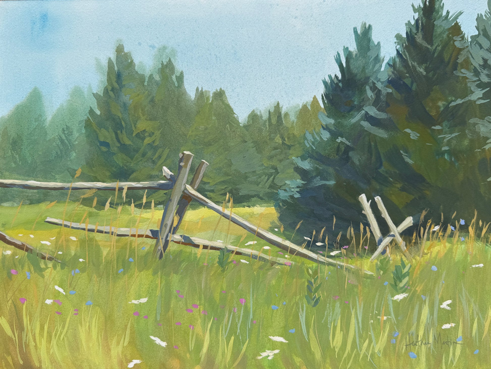 Along the Fenceline