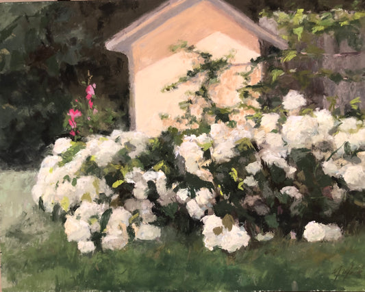 Sunshine in the Garden 
