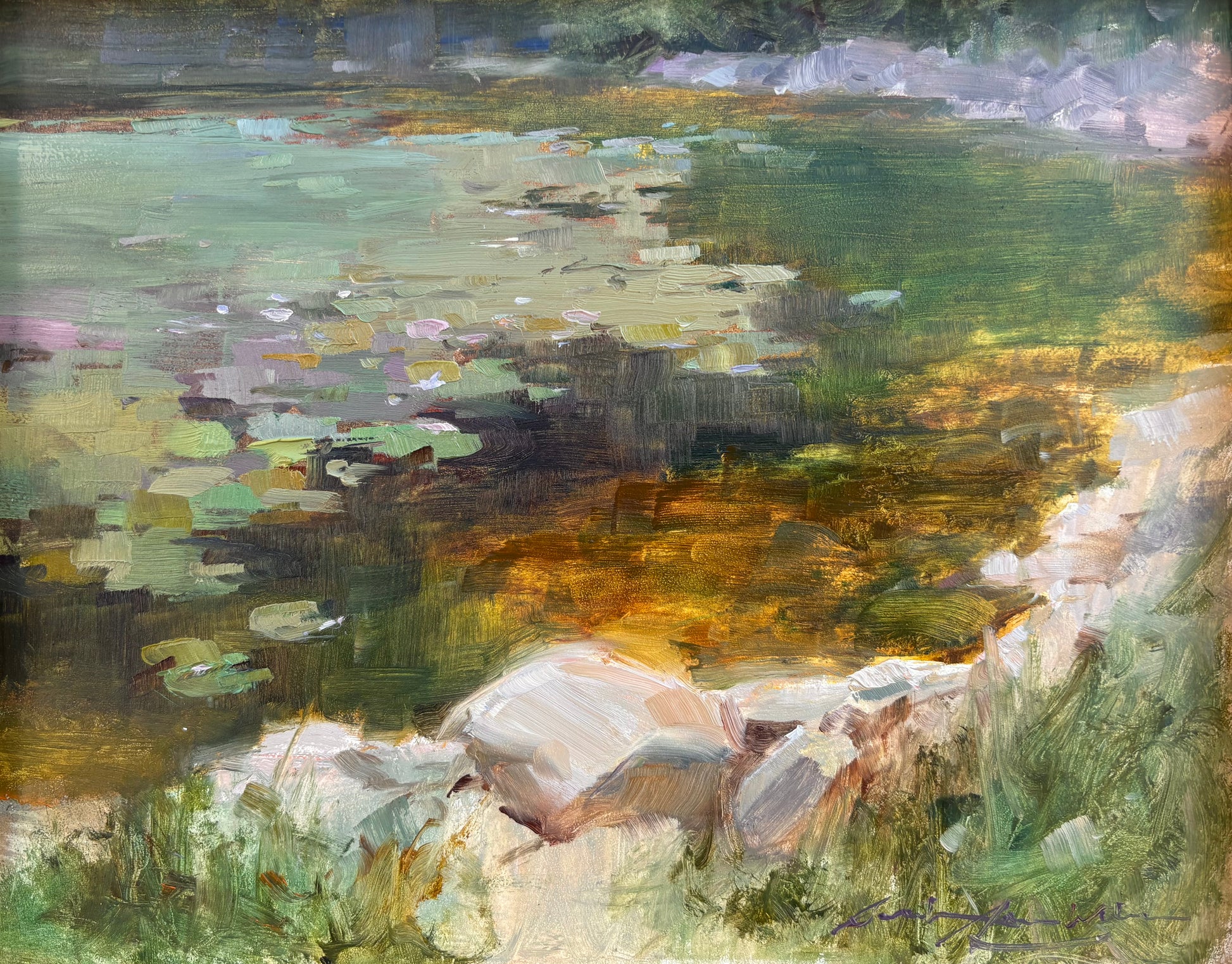 Lily Pond