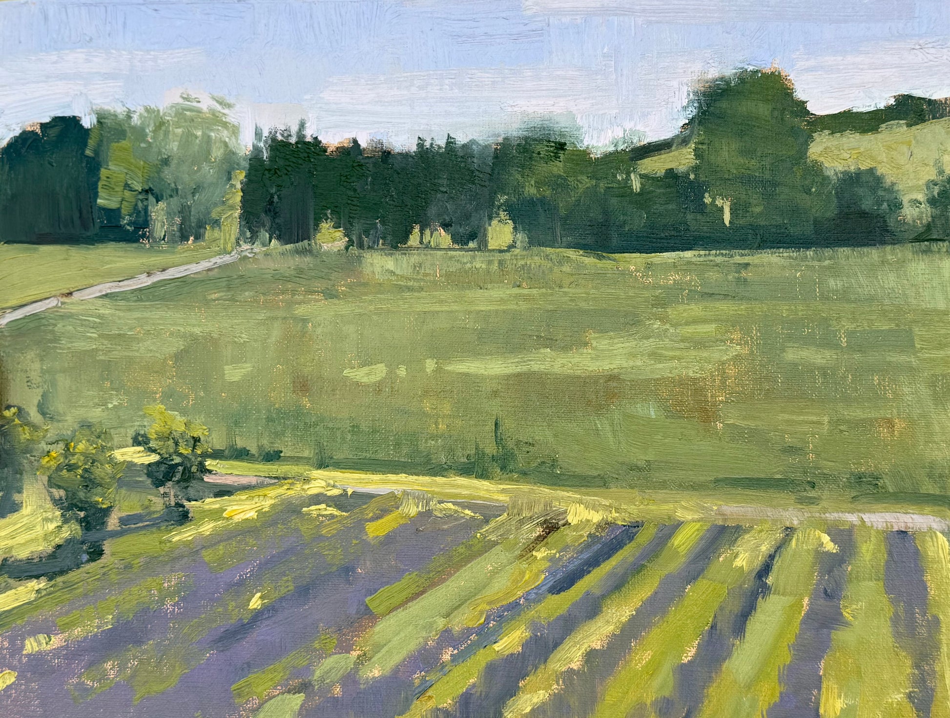 Wilder Lavender Farm