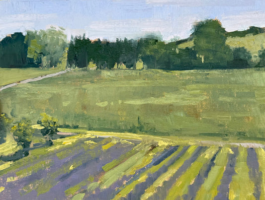Wilder Lavender Farm